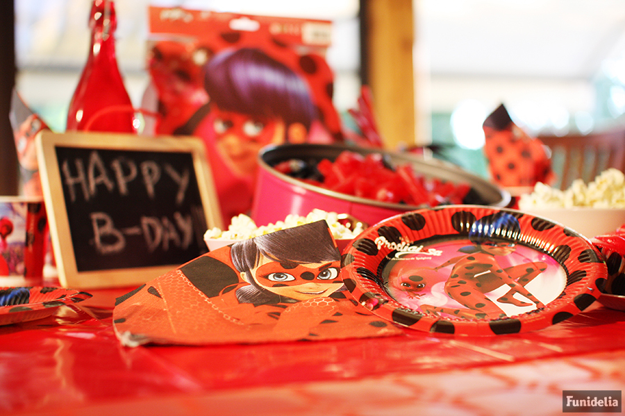 Visite o post para mais.  Anime miraculous ladybug, Decoração de  aniversario ladybug, Aniversário ladybug